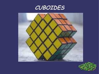 CUBOIDES 
 