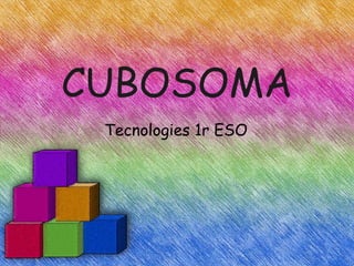 CUBOSOMA Tecnologies 1r ESO  
