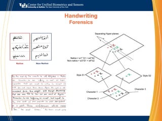 Soft BiometricsCrash scene analysis