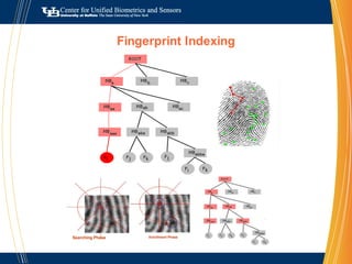 National Science Foundation (NSF)