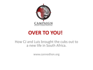 OVER TO YOU! 
How CJ and Luis brought the cubs out to 
a new life in South Africa. 
www.cannedlion.org 
 