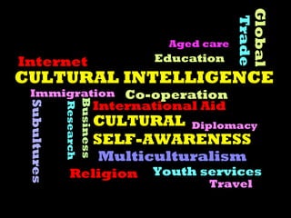 Global
                                                        Trade
                                           Aged care
Internet                                  Education
CULTURAL INTELLIGENCE
 Immigration Co-operation
                         Business

                                International Aid
 Subultures

              Research




                                CULTURAL Diplomacy
                                SELF-AWARENESS
                                    Multiculturalism
                Religion                 Youth services
                                                 Travel
 