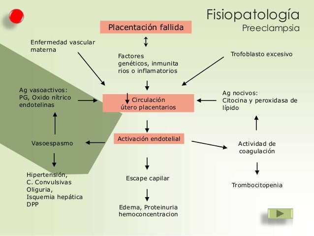 preeclampsia-eclampsia