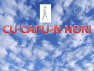 CU CAPU-N NORI 