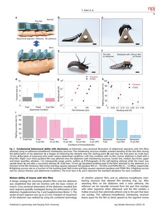 Motion ability of insects with thin ﬁlms
A design strategy for mounting ultrathin ﬁlms onto the abdomen
was established that did not interfere with the basic motion of
insects. Cross-sectional observation of the abdomen revealed that
each segment partially overlapped during the deformation of the
abdomen (Supplementary Fig. 5 and Supplementary Movie 1). The
stroke of each segment was up to 2.5 mm. Freedom of movement
of the abdomen was realised by using the combined technology
of ultrathin polymer ﬁlms and an adhesive–nonadhesive inter-
leaving structure that allowed ﬁlm bending (Fig. 2a). After
attaching ﬁlms on the abdomen with a resin adhesive, the
adhesive can be naturally removed from the part that overlaps
with other segments when deformed, and the ﬁlm exhibits a
hollow structure that selectively adheres only to the part that does
not overlap. This adhesive–nonadhesive interleaving structure
leaves space for the ﬁlm to bend upward as the segment moves
Normal
Bent
Abdominal segment Adhesive No adhesive
Thin film
0
20
40
60
80
100
0 0.05 0.1 0.15 0.2 0.25 0.3 0.35
Parylene
PDMS
Righting
success
rate
(%)
Buckling load (N)
10
-3
10
-2
10
-1
10
0
1 10 100 1000
Parylene
PDMS
Buckling
load
(N)
Film thickness (µm)
Thin film
on abdomen
Backpack with 100-µm film
on thorax
d
e f
h
i
g
a b c
0
20
40
60
80
100
Free/Free Free/
5 µm film
Free/
10 µm film
Free/
15 µm film
Free/
20 µm film
Free/
4 µm OPV
Backpack/
Free
Backpack/
3 µm film
Backpack/
10 µm film
Righting
success
rate
(%)
Conditions of thorax/abdomen
0
2
4
6
8
10
Free Fixed 3-µm film
Traverse
time
(s)
Abdominal Condition
Fig. 2 Fundamental behavioural ability with electronics. a Schematic cross-sectional illustration of abdominal segments with thin ﬁlms
attached using an adhesive-nonadhesive interleaving structure. The interleaving structure enables outward bending of the thin ﬁlms during
the deformation of the abdomen. b, c Images of traversing the obstacle near the starting point (b) and near the end point (c). Scale bars,
10 mm. d Box-plots of traversing time under various abdominal conditions. Left: free condition with no ﬁlm, Centre: abdomen is ﬁxed with a
thick ﬁlm, Right: 3 µm thick parylene ﬁlm was adhered onto the abdomen with interleaving structure. Center line, median; box limits, upper
and lower quartiles; whiskers, 1.5x interquartile range; points, outliers. e, f Photographs of the self-righting attempt while the insect was
upside-down (e) and after a successful attempt (f). Scale bars, 10 mm. g Calculated buckling load of the ﬁlms attached to the abdomen as a
function of the ﬁlm thickness. Red circles and blue squares represent the parylene ﬁlm (E = 4.0 GPa) and PDMS ﬁlm (E = 3.3 MPa), respectively.
h Righting success rate as a function of the buckling load. Red circles and blue squares represent parylene and PDMS ﬁlm. i Righting success
rate for various thoracic and abdominal conditions. The error bars in h, and i represent the standard deviations for each condition.
Y. Kakei et al.
3
Published in partnership with Nanjing Tech University npj Flexible Electronics (2022) 78
 