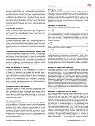 Cerci are paired appendages on the rearmost segments of the abdomen
and serve as sensory organs. Male G. portentosa can be distinguished by
the presence of two horn-like protrusions on the thorax. To ensure uniform
behavioural ability test conditions, only female individuals were used in
the experiment to evaluate their self-righting ability with a ﬁlm or
backpack attached to the dorsal side. Commercially available bark chips
were spread in a breeding case with a width of 43 cm, a depth of 35 cm,
and a height of 27 cm for breeding 40 to 200 colonies. The breeding
temperature was adjusted from 25 to 30 °C using a heater mat.
Appropriate amounts of insect jelly and cockroach food were administered
twice a week.
3D model of G. portentosa
A frozen G. portentosa female was placed on a small turntable, and 45
images were captured by rotating the specimen at 8° intervals. The images
were imported into photogrammetry software (3DF Zephyr, OPT
Technologies) to create a precise 3D model.
Abdominal shape measurement
An adhesive elastomer sheet (Y-4905J, 3 M ™) was tightly attached to the
abdomen of a female G. portentosa specimen to ﬁll the abdominal area.
A paper was attached to the elastomer sheets to prevent deformation
during delamination. The shape was determined with delaminated
elastomer sheets and then approximated to a pentagon with a total area
of 777 mm2
.
Conﬁrmation of the abdominal movement and segment shape
Cross-sectional observation was performed to conﬁrm the movement of
the abdomen of G. portentosa. With a specimen frozen at –18 °C, a CO2
laser processing machine (FABOOL Laser CO2, Smart DIYs Inc.) was used to
cut G. portentosa from the centre of the thorax to the abdomen.
Observations were conducted using a microscope (Dino-Lite Edge, Opto
Science). The range of movement was measured using cross-sectional
observation. The abdomen was disassembled into segments to measure
the segment depth, width, thickness, and radius of curvature.
Design and fabrication of backpack
To achieve stable adhesion of rigid components on the thorax, the
backpack was designed to cover the ﬁrst to third thoracic segments of the
3D model of G. portentosa. The backpack was fabricated using a
stereolithography 3D printer (Form3, Formlabs) with an elastic polymer
(Elastic 50 A, Formlabs). The interface between the backpack and the insect
surface was divided into columns. The columnar structures were attached
to the ﬁrst to third thoracic segments using a superglue (LOCTITE, LBR-005).
Thanks to the softness and columnar structure, the backpack adhered to
different individuals appropriately, conﬁrming the adequate integration of
circuits onto the G. portentosa species.
Attaching thin ﬁlms to the abdomen
A resin-based adhesive for the skin (Spirit Gum, Mitsuyoshi) was evenly
applied to the abdomen, and a thin ﬁlm was attached to the surface of the
insect. The adhesive was liquid and exhibited some adhesive strength
even before curing. During the curing of the adhesive, the part of the
adhesive where the segments overlapped was scraped off by the natural
movement of the insects, which resulted in an adhesive–nonadhesive
interleaving hollow structure.
Traversing an obstacle
A wooden regular triangular prism with a side and height of 45 and
80 mm was placed on the ground as an obstacle. The ﬂoor temperature at
the initial position of G. portentosa was set to 80 °C, and the ﬂoor
temperature of the obstacle and beyond the obstacle was set to room
temperature (ranging from 23 to 25 °C) to trigger a traversal movement
immediately. The traversal time was determined by measuring the time
from when the head of G. portentosa passed through the nearest end face
of the obstacle to when the abdomen sufﬁciently exceeded the top apex.
We collected from a total of 5 individuals with 10 trials from each
individual for each condition.
Self-righting attempts
G. portentosa was held in an upside-down orientation and then released on
the ground covered with recycled paper. If the animal righted from an
upside-down orientation within 60 s, the case was considered to be a
success. The same attempts were repeatedly conducted with various
individuals and ﬁlm/component conditions on both the abdomen and
thorax. We collected from a total of at least 3 individuals with at least 5
trials from each individual for each condition. See supplementary Table 4
for details of sample size.
Calculation of buckling load
Euler’s formula for buckling load P is expressed as follows:
P ¼ n
π2
EI
L2
(1)
where n is a constant determined by ﬁxing both ends of the sheet (in the
case of both ends ﬁxed, n = 4), E is the Young’s modulus of the sheet, I is
the moment of inertia of the area determined by the cross-sectional
shape of the sheet, and L is the natural length between the ﬁxed ends.
The moment of inertia of the ﬁlm area can be calculated using the
following expression:
I ¼
t3
b
12
(2)
where t and b are the thicknesses and widths of the ﬁlms. Therefore, the
buckling load can be expressed as follows:31
P ¼
π2
Et3
b
4L2
(3)
Although the deformation between the two abdominal segments is
vertical deviation, it is approximated to the buckling of a simple column
with the stroke of the segment as L because the vertical deviation is
sufﬁciently small (Supplementary Figs. 5 and 9). The force required for
buckling deformation at a constant stroke of the abdominal segment
(L = 2.5 mm) and ﬁlm width on the abdominal segment (b = 25 mm) were
calculated using Young’s modulus and thickness as variables (Supplemen-
tary Table 1).
Materials for organic solar cell module
The precursor (ECRIOS VICT-Cz) for the transparent polyimide substrate was
obtained from Mitsui Chemicals. The ﬂuorinated polymers (Novec1700, 3 M)
and their solvents (Novec 7100, 3 M) were purchased from 3 M. Zinc acetate
dehydrates, ethanolamine, 2-methoxyethanol, and chlorobenzene were
purchased from FUJIFILM Wako Pure Chemical Corporation. Ethoxylated
polyethyleneimine (PEIE) and 1-chloronaphthalene were purchased from
Sigma-Aldrich. Poly[4,8-bis(5-(2-ethylhexyl)thiophen-2-yl)benzo[1,2-b;4,5-b’]
dithiophene-2,6-diyl-alt-(4-octyl-3-ﬂuorothieno[3,4-b]thiophene)-2-carboxy-
late-2-6-diyl] (PBDTTT-OFT) was obtained from TORAY. 2,2′-((2Z,2′Z)-(((4,4,9,9-
tetrakis(4-hexylphenyl)-4,9-dihydro-sindaceno[1,2-b:5,6-b′]dithiophene-2,7-
diyl)bis(4-((2-ethylhexyl)oxy)thiophene-5,2-diyl))bis(methanylylidene))bis(5,6-
diﬂuoro-3-oxo-2,3-dihydro-1 H-indene-2,1-diylidene))dimalononitrile (IEICO-
4F) was purchased from 1-Material. All the materials were used as received
without further puriﬁcation.
Fabrication of the organic solar cell module
First, the glass substrates were treated with an oxygen plasma for 10 min at
300 W (PC-300, Samco). The ﬂuorinated polymer layer (Novec
1700:7100 = 1:8) was then spin coated (MS-B100, Miksa) on a
50 mm × 50 mm glass at 4000 rpm for 1 min. Next, the ﬂuorinated glass
substrate was heated in an inert oven at 80 °C for 10 min. Before spin
coating the transparent polyimide precursor, the glass/ﬂuorinated polymer
layer was treated with an oxygen plasma for 5 s at 50 W. The precursor was
spin coated onto the substrate at 2000 rpm for 1 min to form a ﬁlm with a
thickness of approximately 2.4 μm. The transparent polyimide ﬁlm was
cured by an imidisation reaction at 250 °C for 2 h in an inert oven under a
nitrogen atmosphere (DN411I, Yamato Scientiﬁc). An indium tin oxide (ITO)
transparent electrode with a thickness of 100 nm was deposited on the
substrate using a sputtering machine (SIH-1010, ULVAC, Inc.). The ITO
electrode was patterned by photolithography, and 3.5 nm-thick Cr and
100 nm-thick Au layers were deposited onto the ITO electrode as
supporting wires. PEIE chelated with Zn2+
(PEI–Zn) was used as the
electron transport layer28,37
. The PEI–Zn precursor solution was prepared
Y. Kakei et al.
7
Published in partnership with Nanjing Tech University npj Flexible Electronics (2022) 78
 