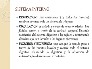 SISTEMA INTERNO
 RESPIRACION: las cucarachas ( y todos los insectos)
respiran por medio de un sistema de tráqueas.
 CIRCULACION: es abierta y carece de venas o arterias. Los
fluidos corren a través de la cavidad corporal llevando
nutrientes del sistema digestivo a los tejidos y removiendo
desechos que son llevados a los órganos excretores.
 INGESTION Y EXCRESION: una vez que la comida pasa a
través de las puertas bucales y recorre todo el sistema
digestivo realizando la digestión y la absorción de
nutrientes, los desechos son excretados.
 