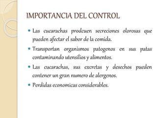 IMPORTANCIA DEL CONTROL
 Las cucarachas prodcuen secreciones olorosas que
pueden afectar el sabor de la comida.
 Transportan organismos patogenos en sus patas
contaminando utensilios y alimentos.
 Las cucarachas, sus excretas y desechos pueden
contener un gran numero de alergenos.
 Perdidas economicas considerables.
 