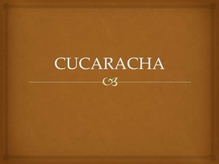 CUCARACHA 