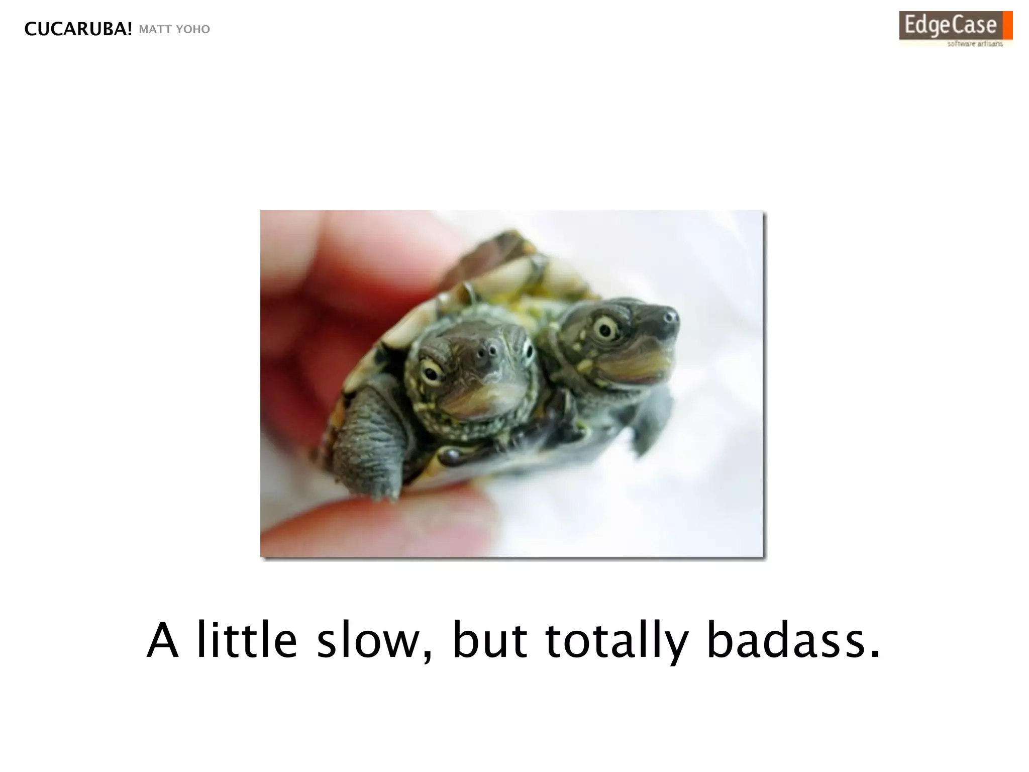 CUCARUBA!   MATT YOHO




            A little slow, but totally badass.
 