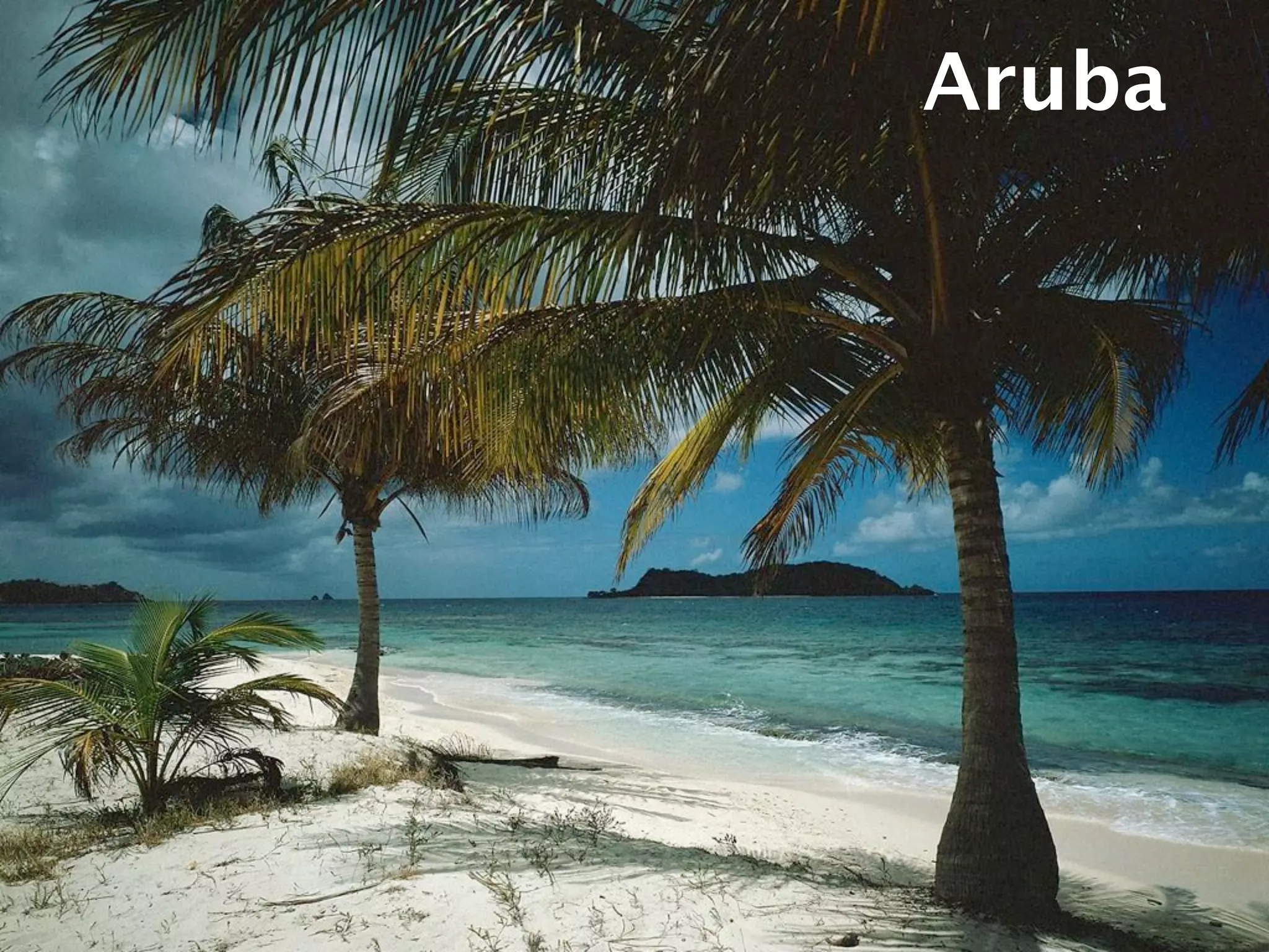 CUCARUBA! MATT YOHO

                      Aruba
 