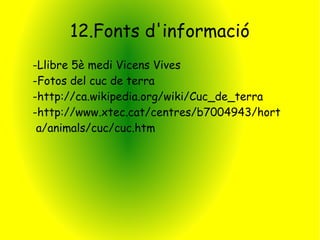 12.Fonts d'informació
-Llibre 5è medi Vicens Vives
-Fotos del cuc de terra
-http://ca.wikipedia.org/wiki/Cuc_de_terra
-http://www.xtec.cat/centres/b7004943/hort
 a/animals/cuc/cuc.htm
 