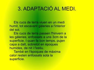 3. ADAPTACIÓ AL MEDI.

   Els cucs de terra viuen en un medi
humit, tot escavant gàleries a l'interior
del sol.
   Els cucs de terra passen l'hinvern a
les gàleries, enfossats a uns 3cm de la
superficie. I quan fa bon temps, pujen
capa a dalt, sobretot en èpoques
humides, de nit i l'estiu.
   També en l'èpoques de màxima
calor resten enfossats sota la
superficie.
 