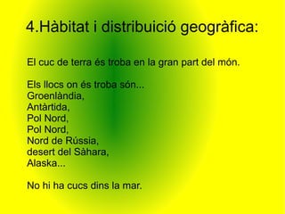 4.Hàbitat i distribuició geogràfica:

El cuc de terra és troba en la gran part del món.

Els llocs on és troba són...
Groenlàndia,
Antàrtida,
Pol Nord,
Pol Nord,
Nord de Rússia,
desert del Sàhara,
Alaska...

No hi ha cucs dins la mar.
 