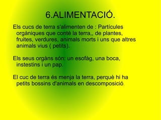 6.ALIMENTACIÓ.
Els cucs de terra s'alimenten de : Partícules
 orgàniques que contè la terra,, de plantes,
 fruites, verdures, animals morts i uns que altres
 animals vius ( petits).

Els seus orgàns són: un esofàg, una boca,
 instestins i un pap.

El cuc de terra és menja la terra, perquè hi ha
 petits bossins d'animals en descomposició.
 