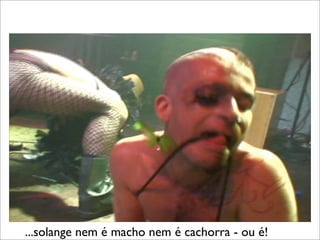 ...solange nem é macho nem é cachorra - ou é!
 