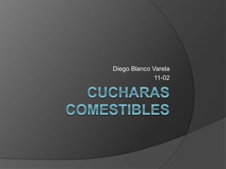 Diego Blanco Varela
11-02
 