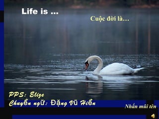Life is …
Cuộc đời là…
PPS: Elize
Chuy n ng : ng V Hi nể ữ Đặ ũ ể Nhấn mũi tên
 