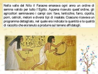 Nella valle del Nilo il Faraone emanava ogni anno un ordine di
semina valido per tutto l’Egitto. Appena ricevuto quest’ordine, gli
agricoltori seminavano i campi con: fave, lenticchie, farro, cipolla,
porri, cetrioli, meloni e diversi tipi di insalate. Ciascuno riceveva un
programma dettagliato, nel quale era indicata la quantità e la qualità
di raccolto cheeratenuto aprodurresul terreno affidatogli.
 