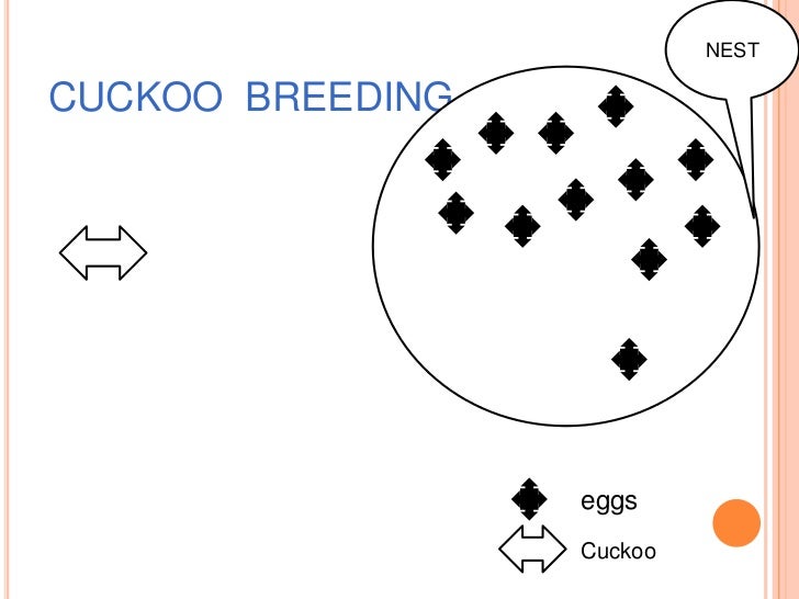 Cuckoo search algorithm