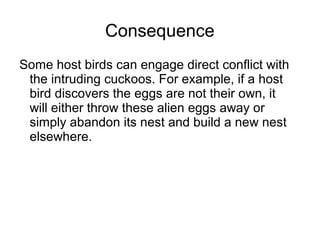 Consequence
Some host birds can engage direct conflict with
the intruding cuckoos. For example, if a host
bird discovers the eggs are not their own, it
will either throw these alien eggs away or
simply abandon its nest and build a new nest
elsewhere.
 
