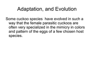 Adaptation, and Evolution
Some cuckoo species have evolved in such a
way that the female parasitic cuckoos are
often very specialized in the mimicry in colors
and pattern of the eggs of a few chosen host
species.
 