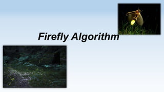 Firefly Algorithm

 