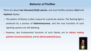 Behavior of Fireflies
There are about two thousand firefly species, and most fireflies produce short and
rhythmic flashes.


The pattern of flashes is often unique for a particular species. The flashing light is

produced by a process of bioluminescence, and the true functions of such
signaling systems are still debating.


However, two fundamental functions of such flashes are to attract mating

partners (communication), and to attract potential prey.

 