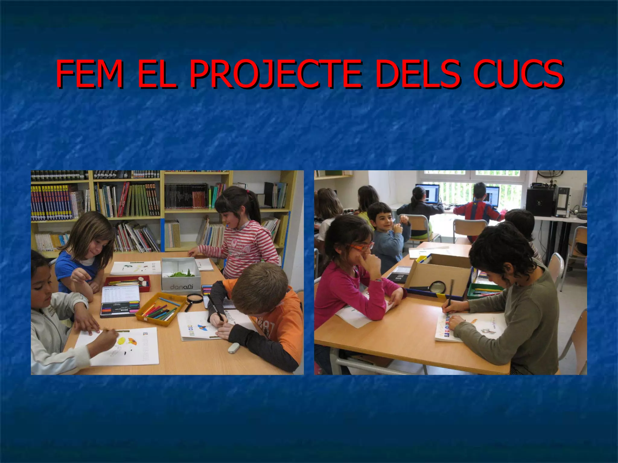 FEM EL PROJECTE DELS CUCS 