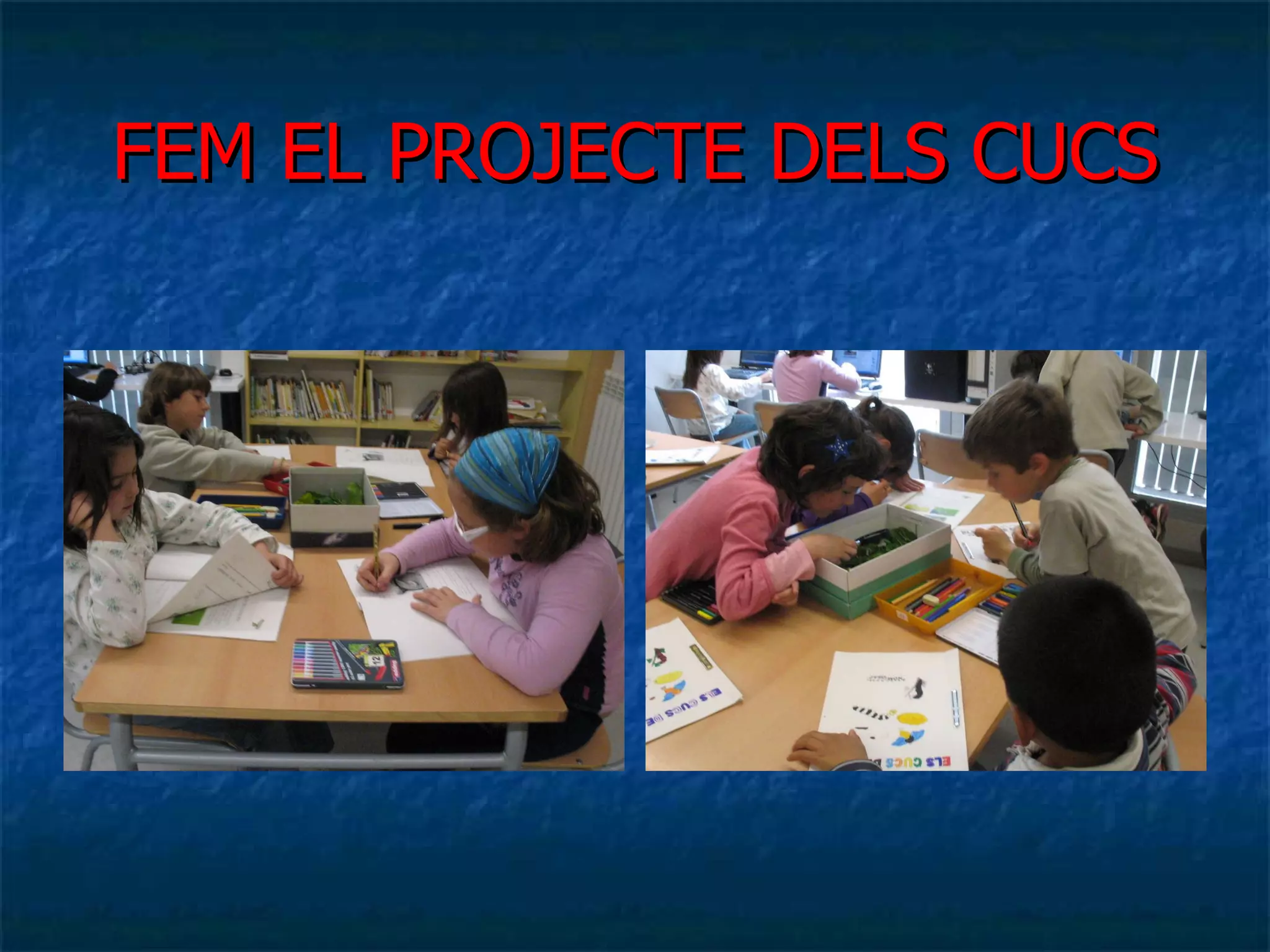 FEM EL PROJECTE DELS CUCS 