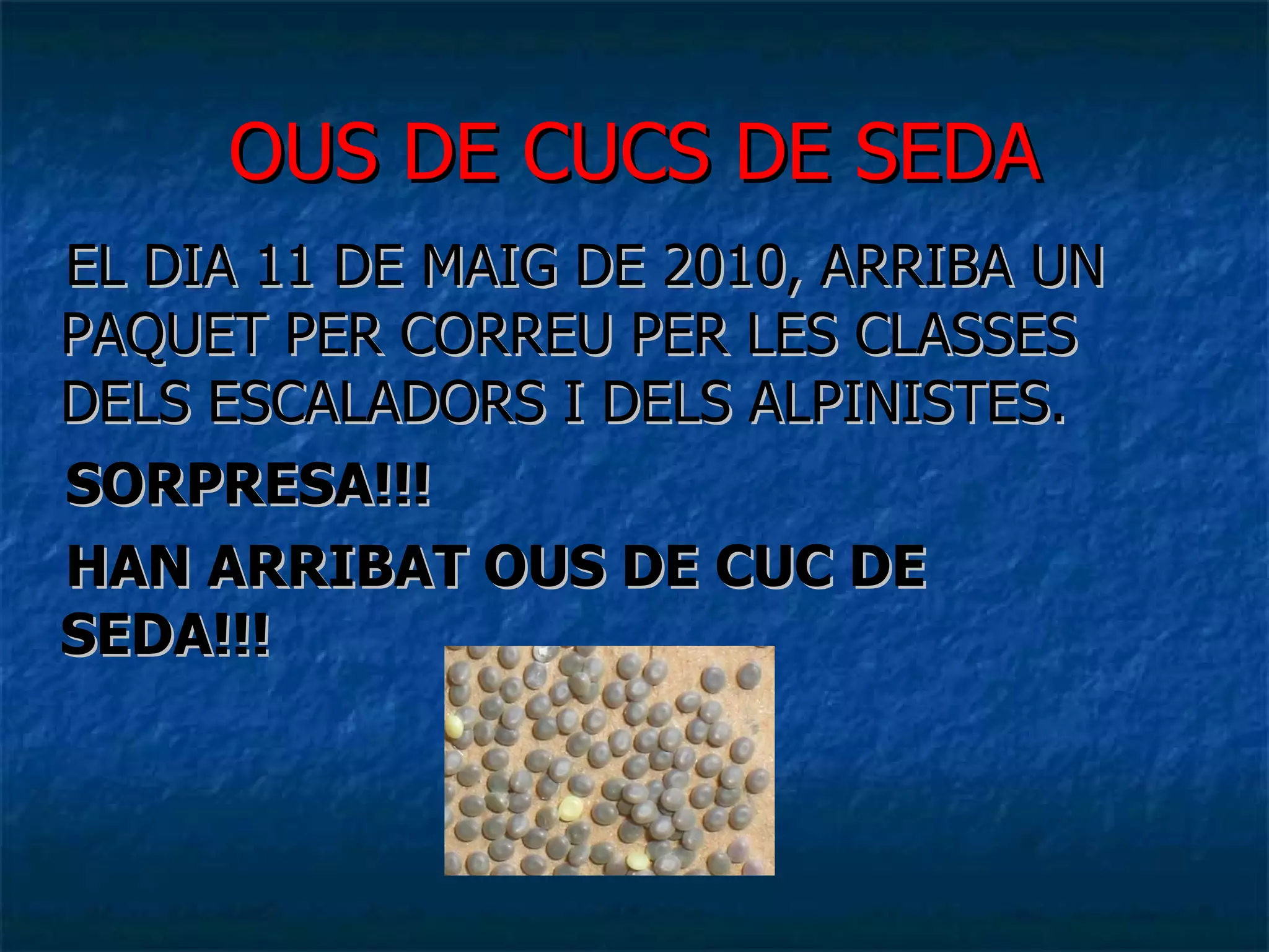 OUS DE CUCS DE SEDA EL DIA 11 DE MAIG DE 2010, ARRIBA UN PAQUET PER CORREU PER LES CLASSES DELS ESCALADORS I DELS ALPINISTES. SORPRESA!!!  HAN ARRIBAT OUS DE CUC DE SEDA!!! 