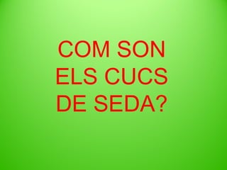 COM SON
ELS CUCS
DE SEDA?

 