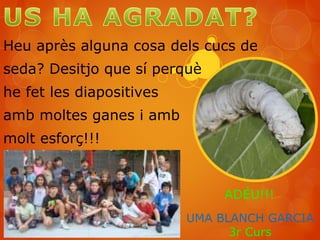 Heu après alguna cosa dels cucs de
seda? Desitjo que sí perquè
he fet les diapositives
amb moltes ganes i amb
molt esforç!!!
ADÉU!!!
UMA BLANCH GARCIA
3r Curs
 