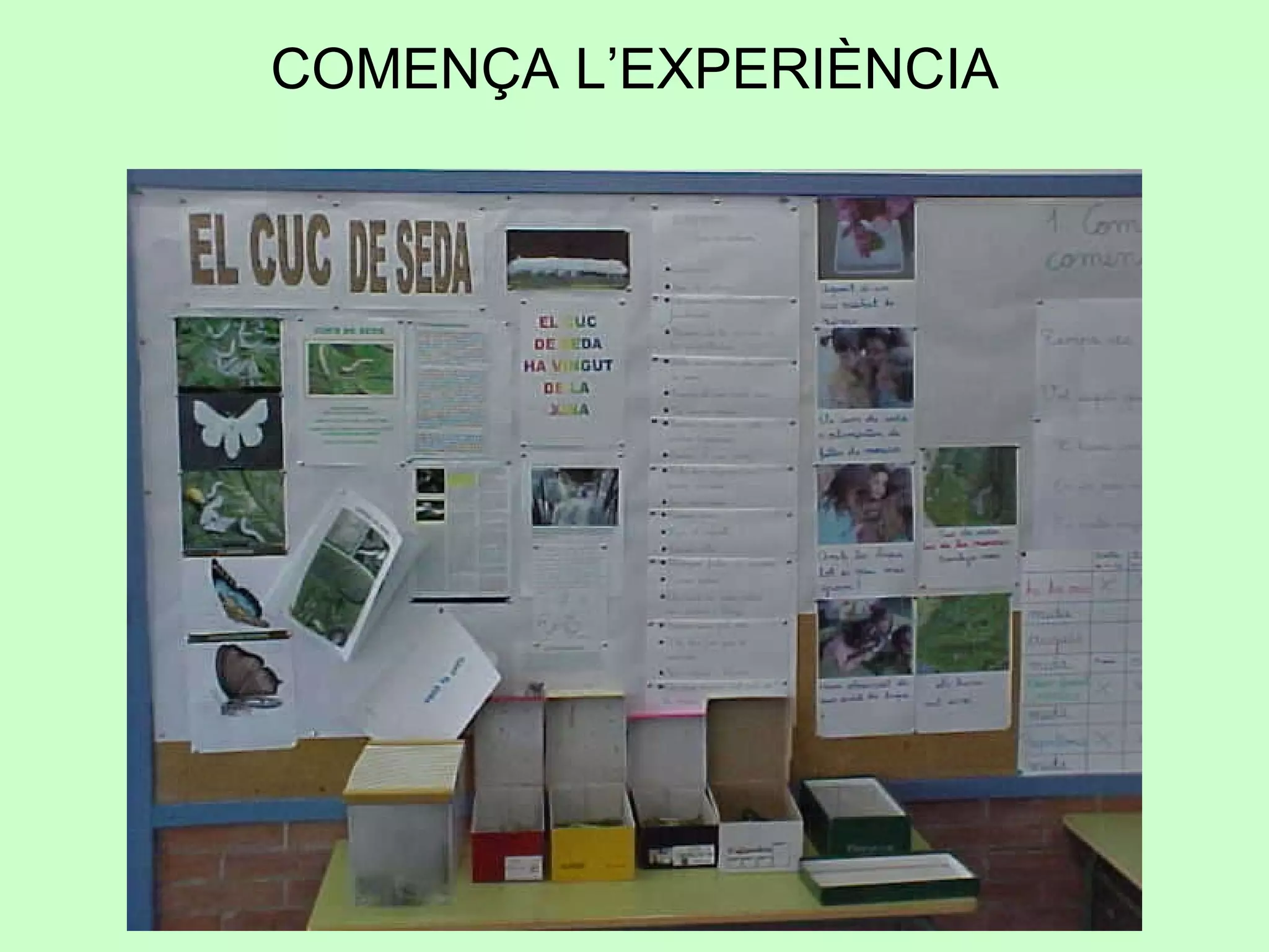 COMENÇA L’EXPERIÈNCIA 