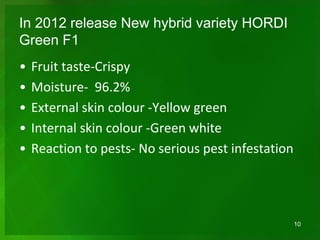 In 2012 release New hybrid variety HORDI
Green F1
• Fruit taste-Crispy
• Moisture- 96.2%
• External skin colour -Yellow green
• Internal skin colour -Green white
• Reaction to pests- No serious pest infestation
10
 