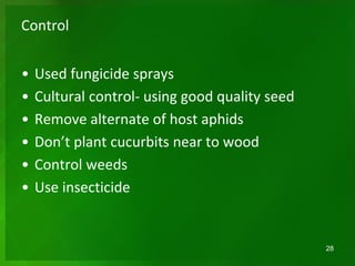 Control
• Used fungicide sprays
• Cultural control- using good quality seed
• Remove alternate of host aphids
• Don’t plant cucurbits near to wood
• Control weeds
• Use insecticide
28
 