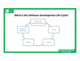 BDD & Cucumber | PDF