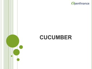 cucumber 