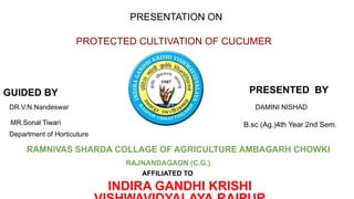 RAMNIVAS SHARDA COLLAGE OF AGRICULTURE AMBAGARH CHOWKI
INDIRA GANDHI KRISHI
RAJNANDAGAON (C.G.)
AFFILIATED TO
GUIDED BY
DR.V.N.Nandeswar
MR.Sonal Tiwari
Department of Horticuture
PRESENTED BY
DAMINI NISHAD
B.sc (Ag.)4th Year 2nd Sem.
PRESENTATION ON
PROTECTED CULTIVATION OF CUCUMER
 
