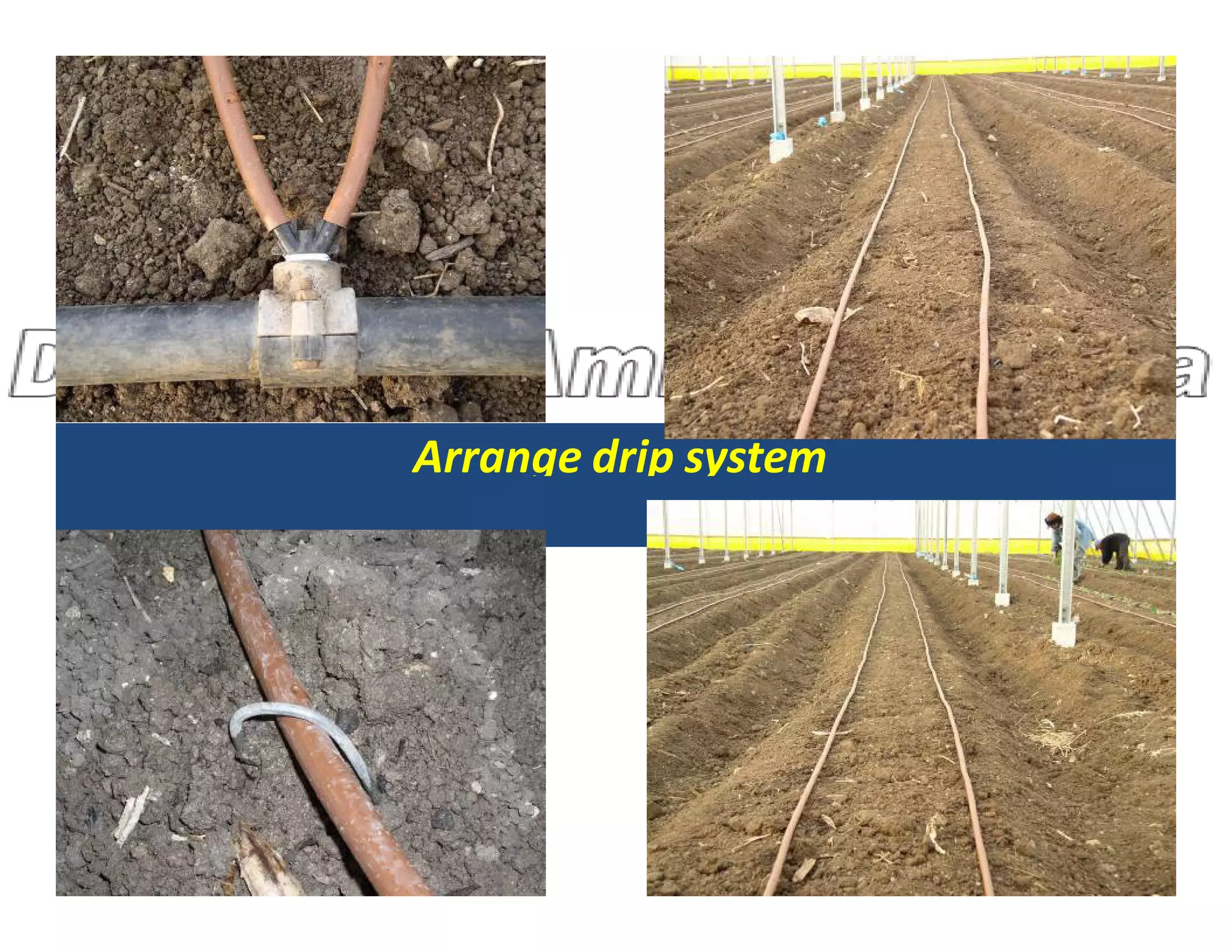 Arrange drip system
Arrange drip system
 