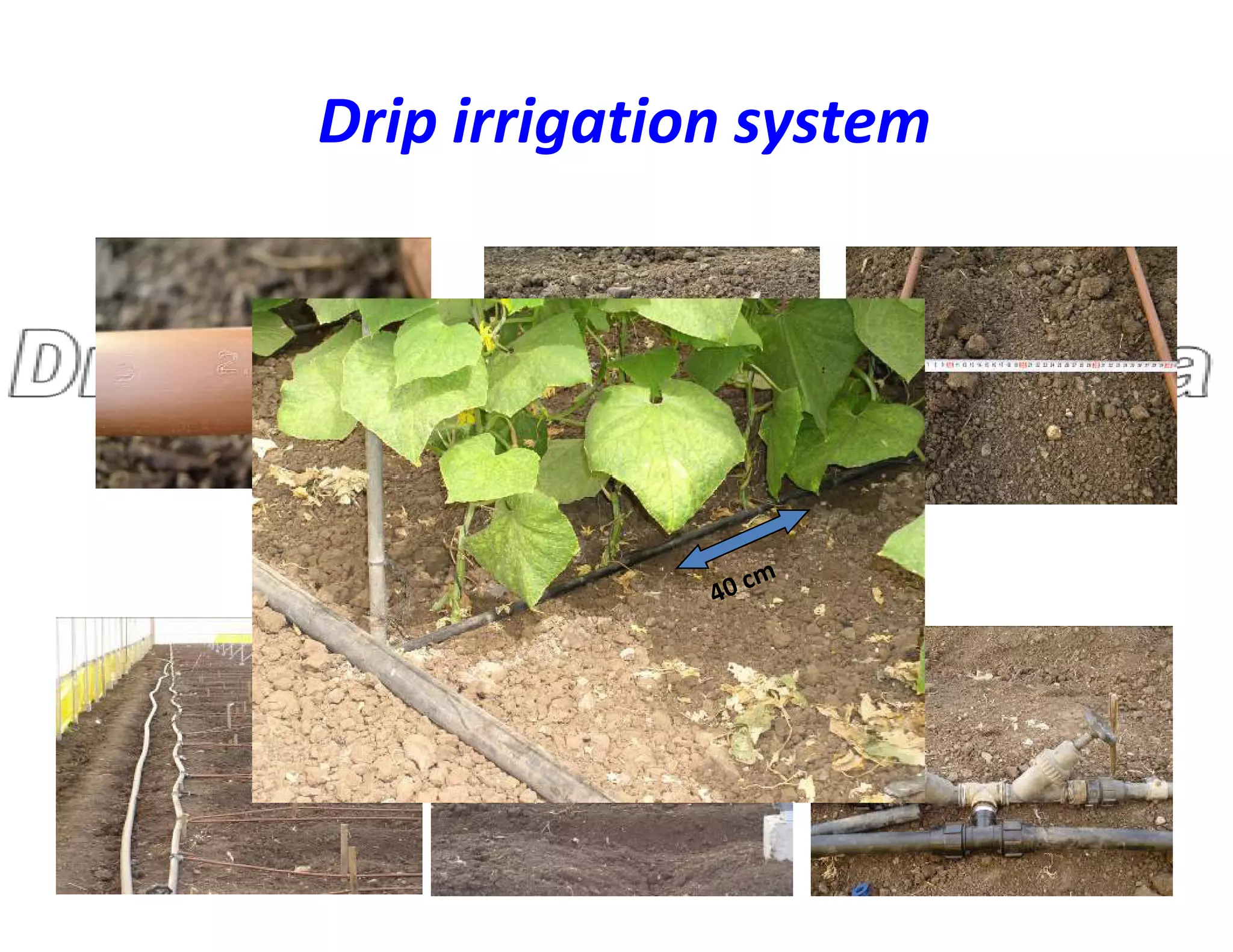 Drip irrigation system
 