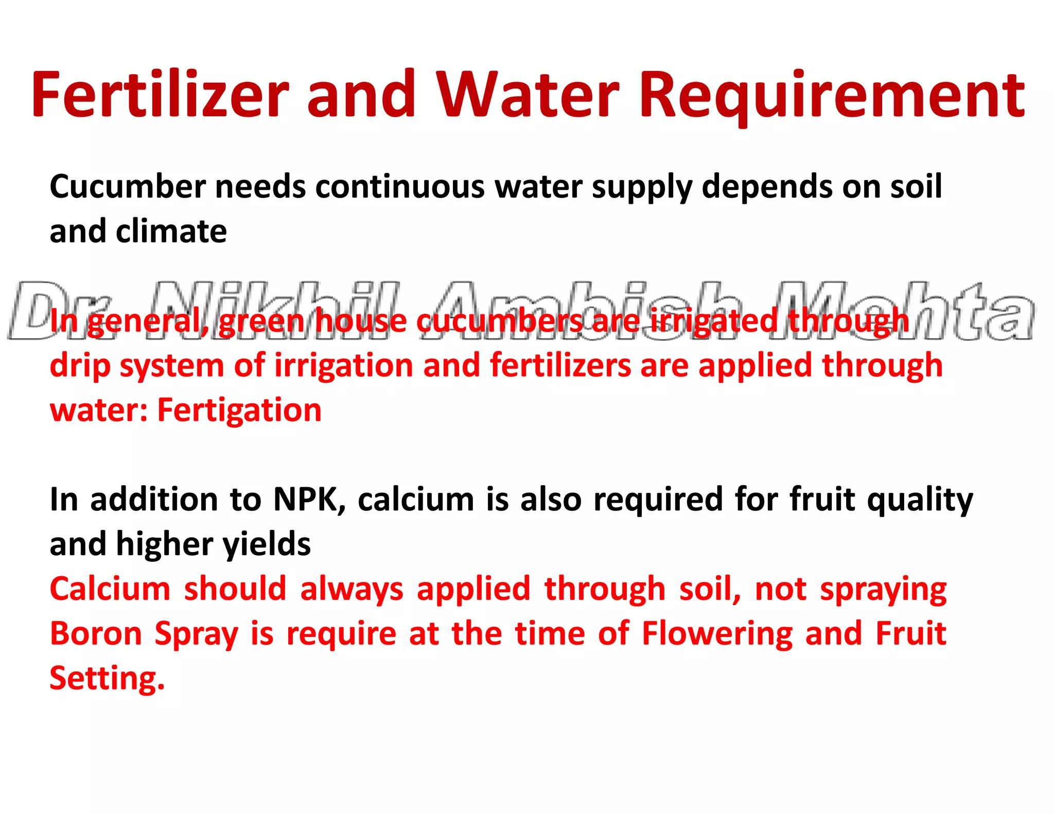 Fertilizer and Water Requirement
Cucumber needs continuous water supply depends on soil
and climate
In general, green house cucumbers are irrigated through
drip system of irrigation and fertilizers are applied through
water: Fertigation
water: Fertigation
In addition to NPK, calcium is also required for fruit quality
and higher yields
Calcium should always applied through soil, not spraying
Boron Spray is require at the time of Flowering and Fruit
Setting.
 