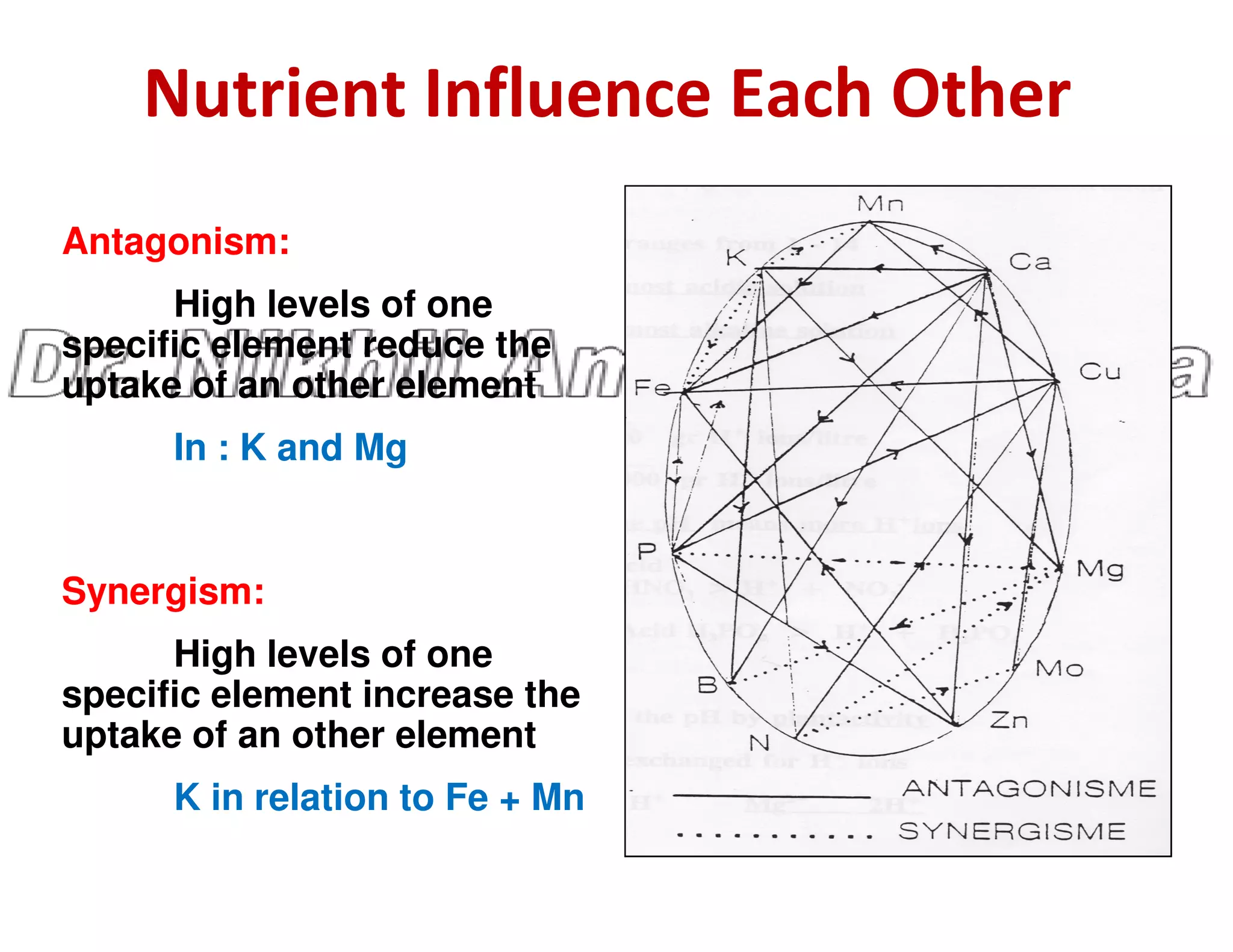 Nutrient Influence Each Other
Antagonism:
High levels of one
specific element reduce the
uptake of an other element
In : K and Mg
Synergism:
High levels of one
specific element increase the
uptake of an other element
K in relation to Fe + Mn
 