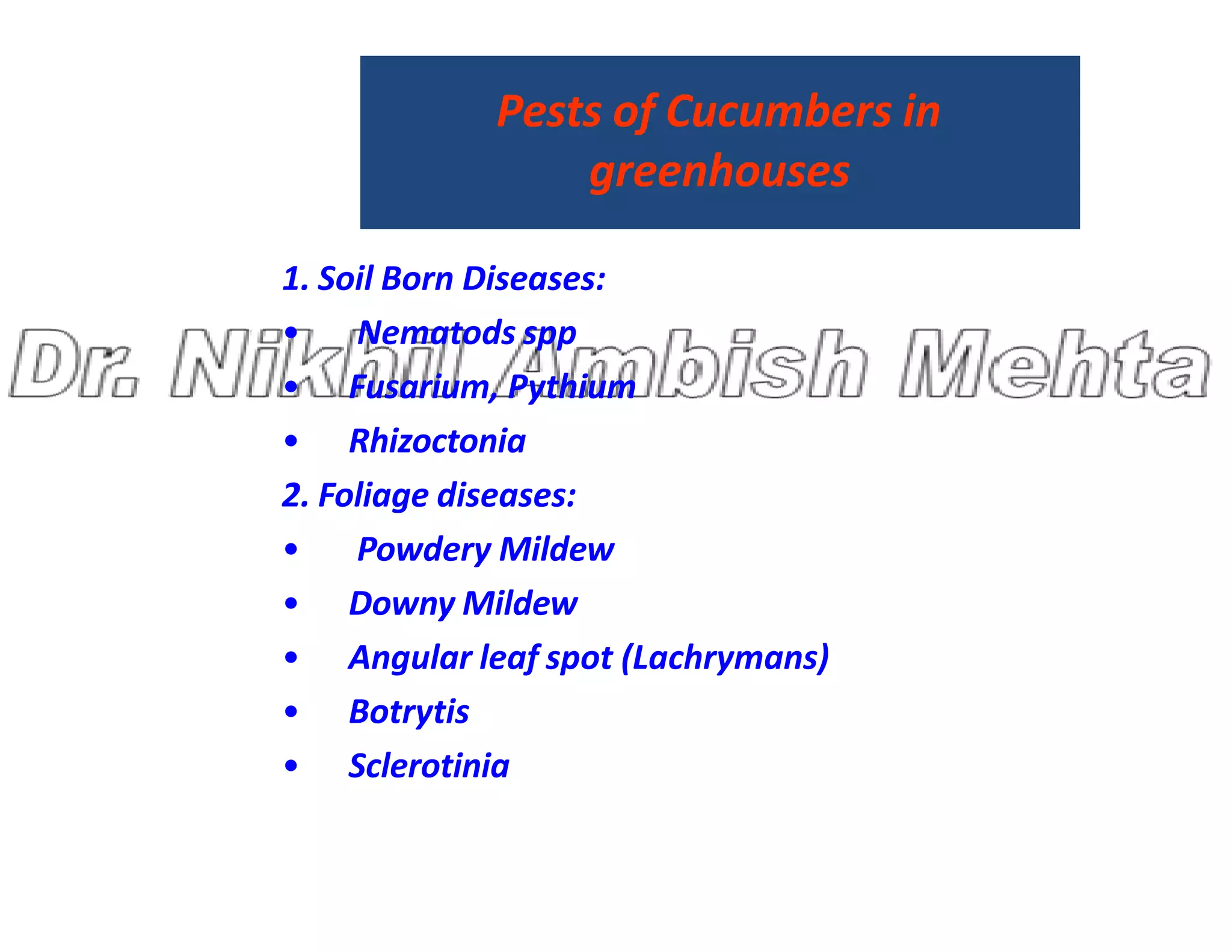 Pests of Cucumbers in
greenhouses
1. Soil Born Diseases:
• Nematods spp
• Fusarium, Pythium
• Rhizoctonia
2. Foliage diseases:
2. Foliage diseases:
• Powdery Mildew
• Downy Mildew
• Angular leaf spot (Lachrymans)
• Botrytis
• Sclerotinia
 