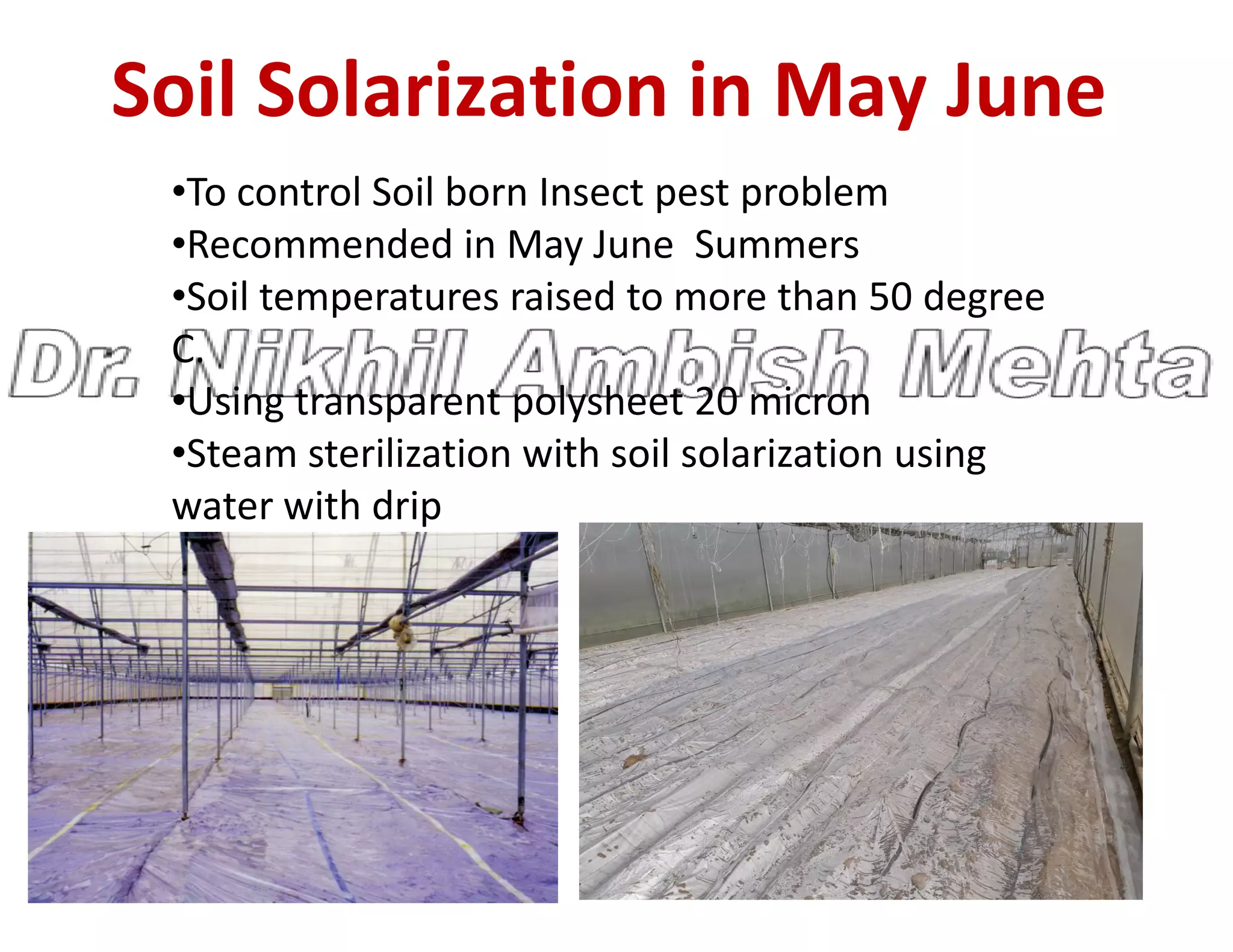 Soil Solarization in May June
•To control Soil born Insect pest problem
•Recommended in May June Summers
•Soil temperatures raised to more than 50 degree
C.
•Using transparent polysheet 20 micron
•Steam sterilization with soil solarization using
•Steam sterilization with soil solarization using
water with drip
 