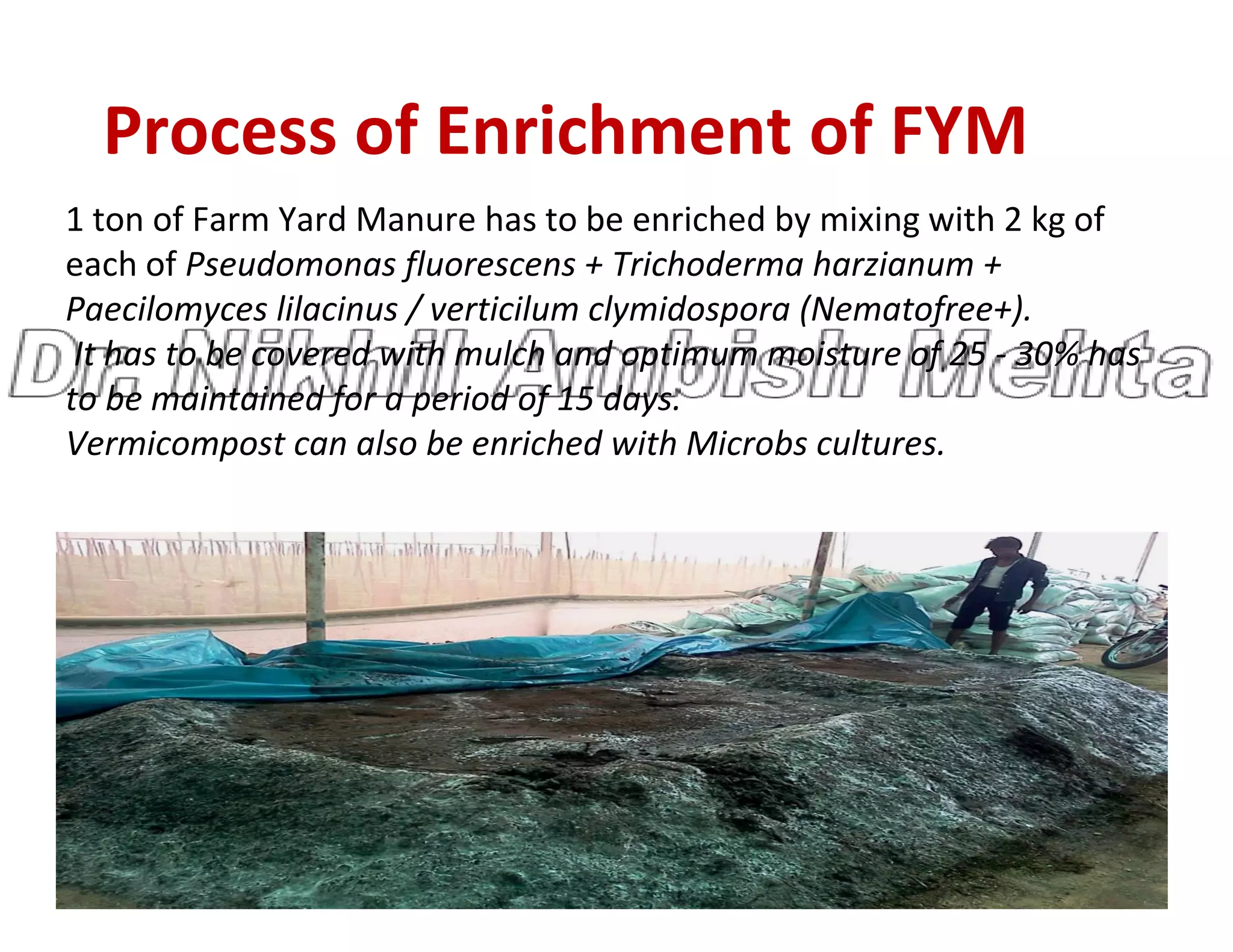 Process of Enrichment of FYM
1 ton of Farm Yard Manure has to be enriched by mixing with 2 kg of
each of Pseudomonas fluorescens + Trichoderma harzianum +
Paecilomyces lilacinus / verticilum clymidospora (Nematofree+).
It has to be covered with mulch and optimum moisture of 25 - 30% has
to be maintained for a period of 15 days.
Vermicompost can also be enriched with Microbs cultures.
 