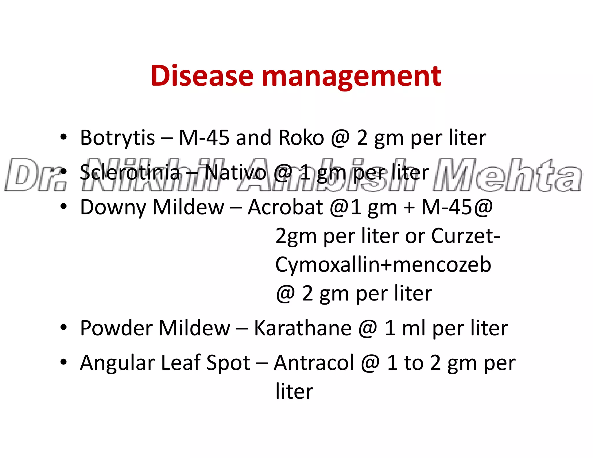 Disease management
• Botrytis – M-45 and Roko @ 2 gm per liter
• Sclerotinia – Nativo @ 1 gm per liter
• Downy Mildew – Acrobat @1 gm + M-45@
2gm per liter or Curzet-
2gm per liter or Curzet-
Cymoxallin+mencozeb
@ 2 gm per liter
• Powder Mildew – Karathane @ 1 ml per liter
• Angular Leaf Spot – Antracol @ 1 to 2 gm per
liter
 