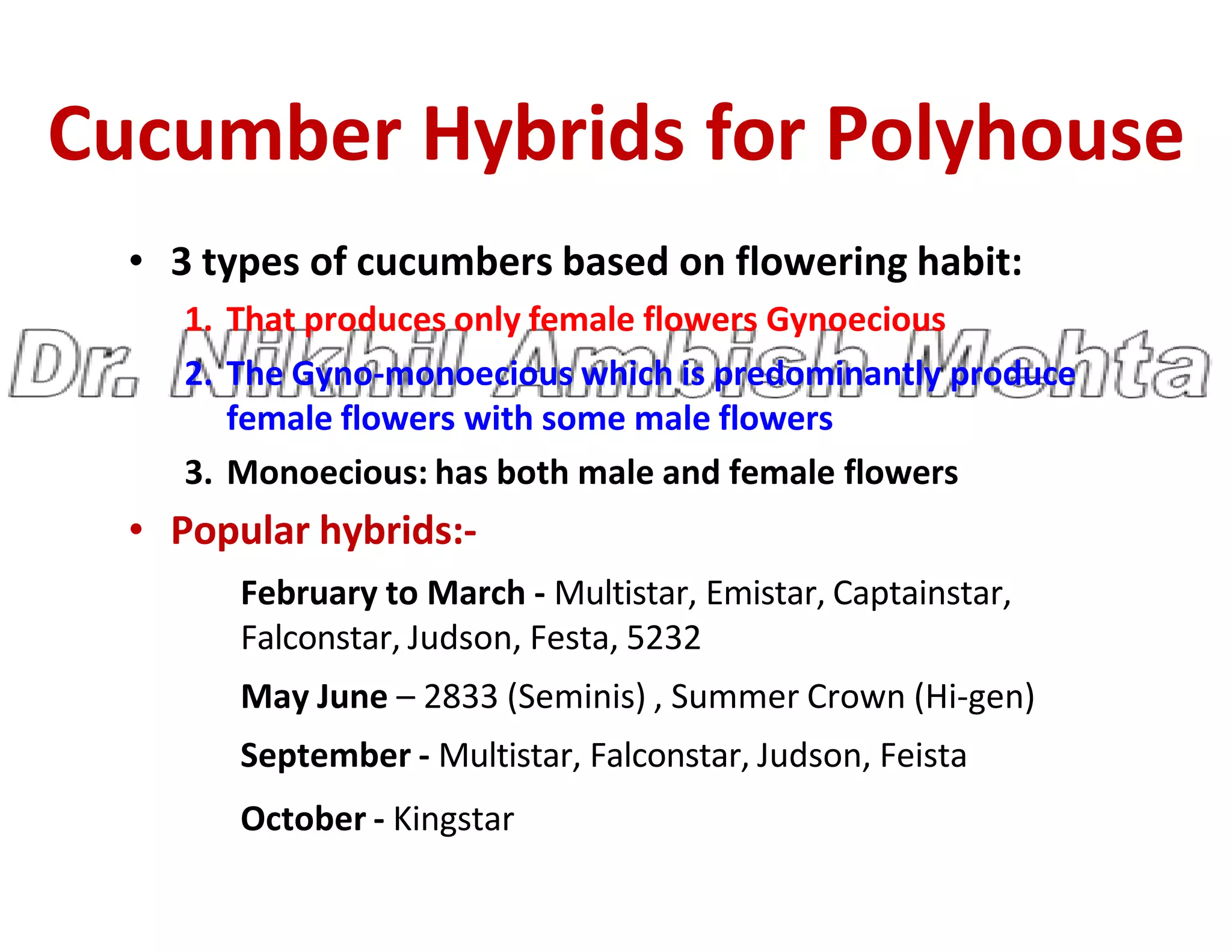 Cucumber Hybrids for Polyhouse
• 3 types of cucumbers based on flowering habit:
1. That produces only female flowers Gynoecious
2. The Gyno-monoecious which is predominantly produce
female flowers with some male flowers
3. Monoecious: has both male and female flowers
3. Monoecious: has both male and female flowers
• Popular hybrids:-
February to March - Multistar, Emistar, Captainstar,
Falconstar, Judson, Festa, 5232
May June – 2833 (Seminis) , Summer Crown (Hi-gen)
September - Multistar, Falconstar, Judson, Feista
October - Kingstar
 
