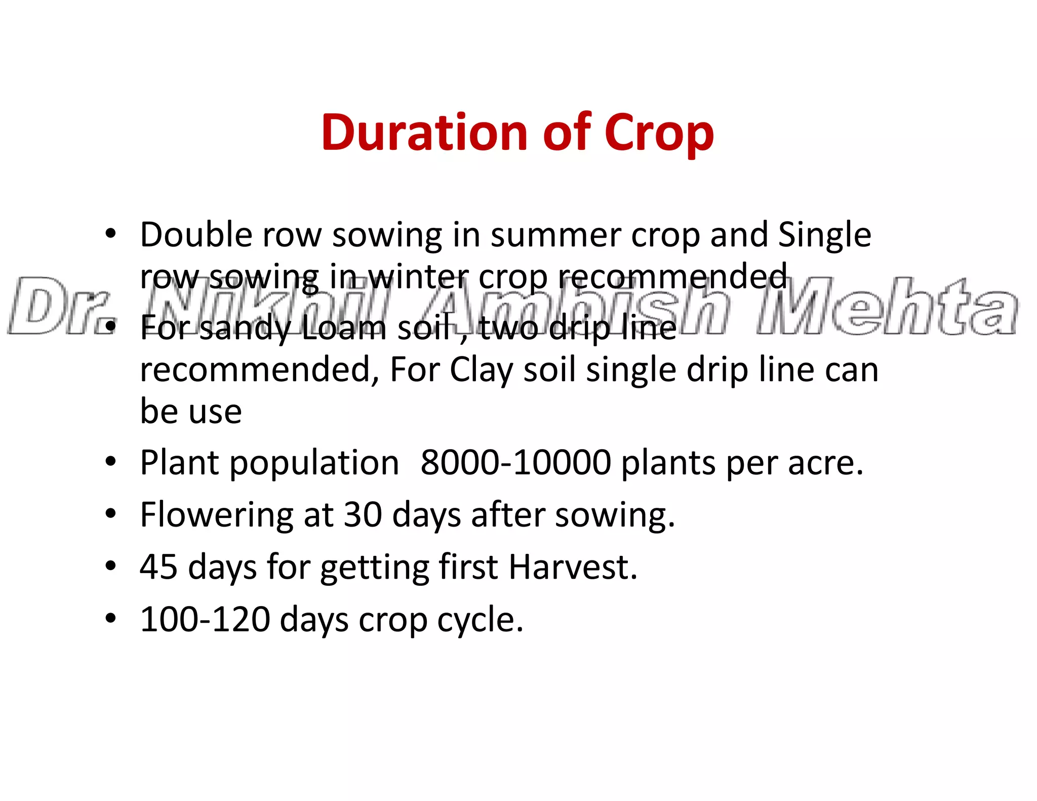 Duration of Crop
• Double row sowing in summer crop and Single
row sowing in winter crop recommended
• For sandy Loam soil , two drip line
recommended, For Clay soil single drip line can
be use
be use
• Plant population 8000-10000 plants per acre.
• Flowering at 30 days after sowing.
• 45 days for getting first Harvest.
• 100-120 days crop cycle.
 