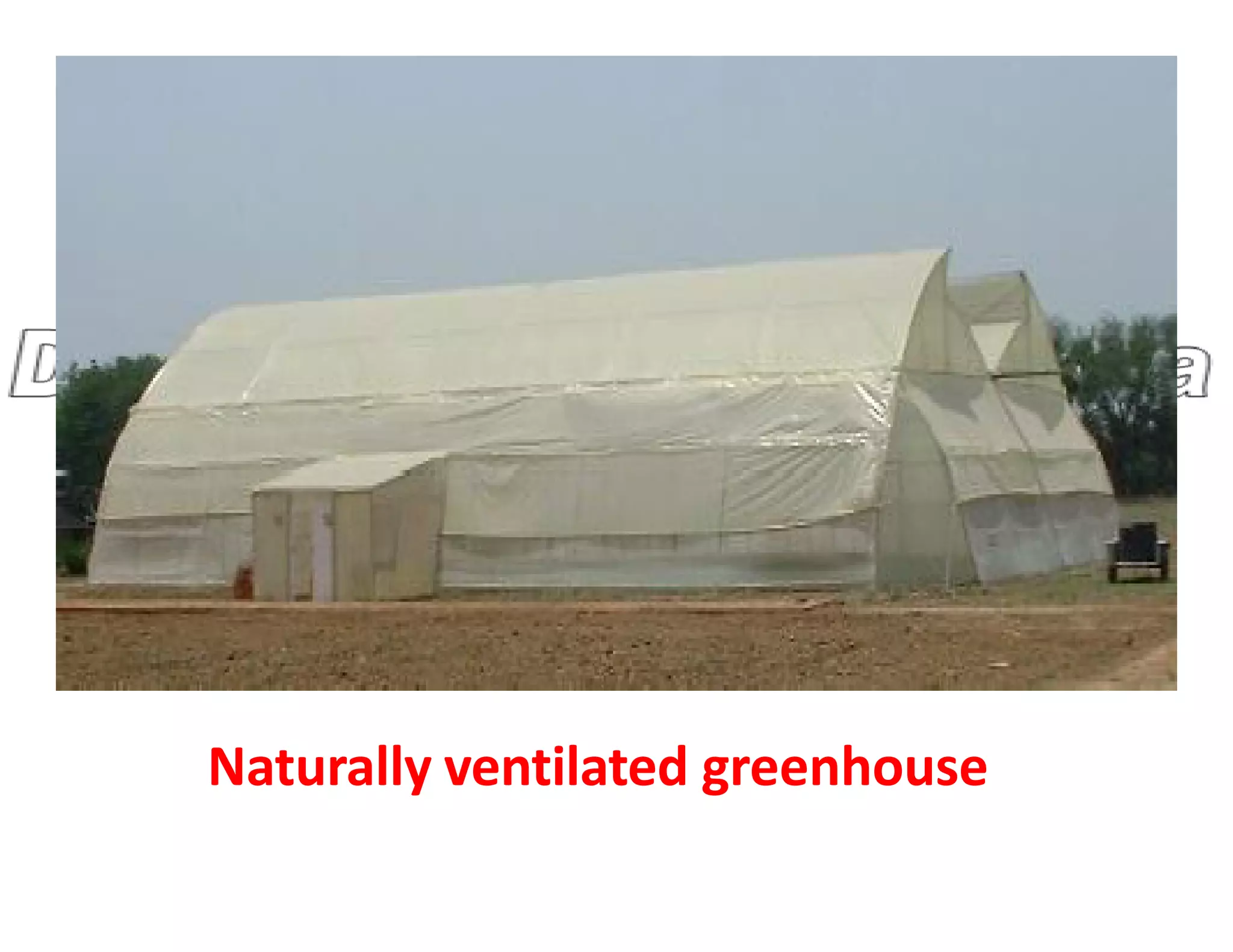 Naturally ventilated greenhouse
 